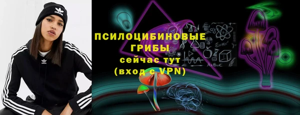 ECSTASY Алексин