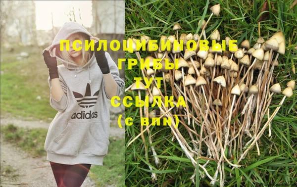 гидропоника Алзамай