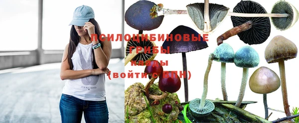 бошки Алексеевка