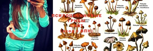 бошки Алексеевка