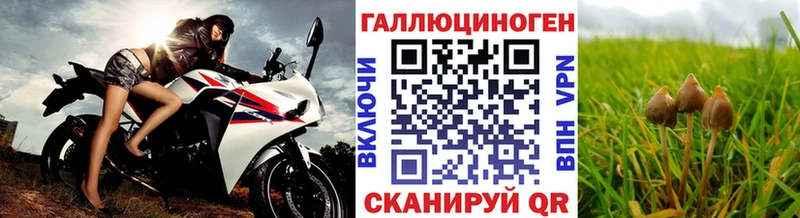 наркошоп  Оренбург  Галлюциногенные грибы мицелий 